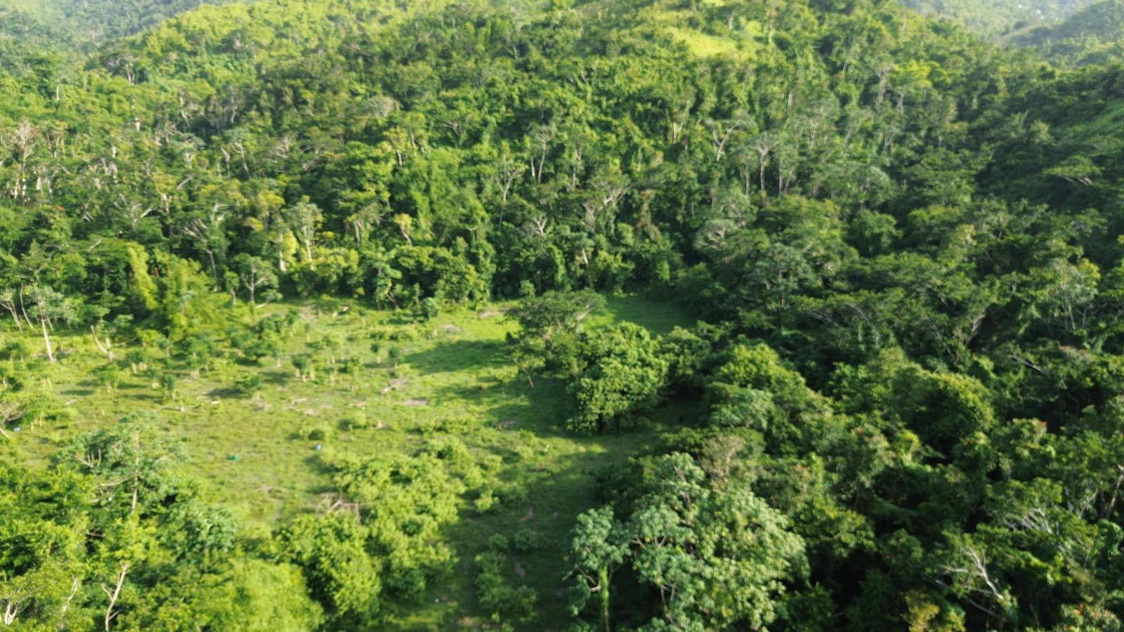 Fifth image of Sandy Bay in Sandy Bay, Hanover, Jamaica - property is For Sale