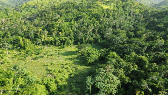 Fifth image of Sandy Bay in Sandy Bay, Hanover, Jamaica - property is For Sale