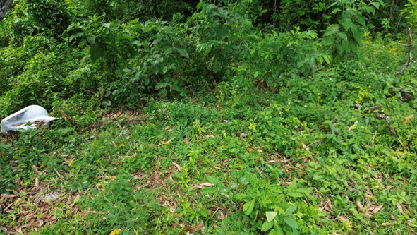 Sixth image of Sandy Bay in Sandy Bay, Hanover, Jamaica - property is For Sale
