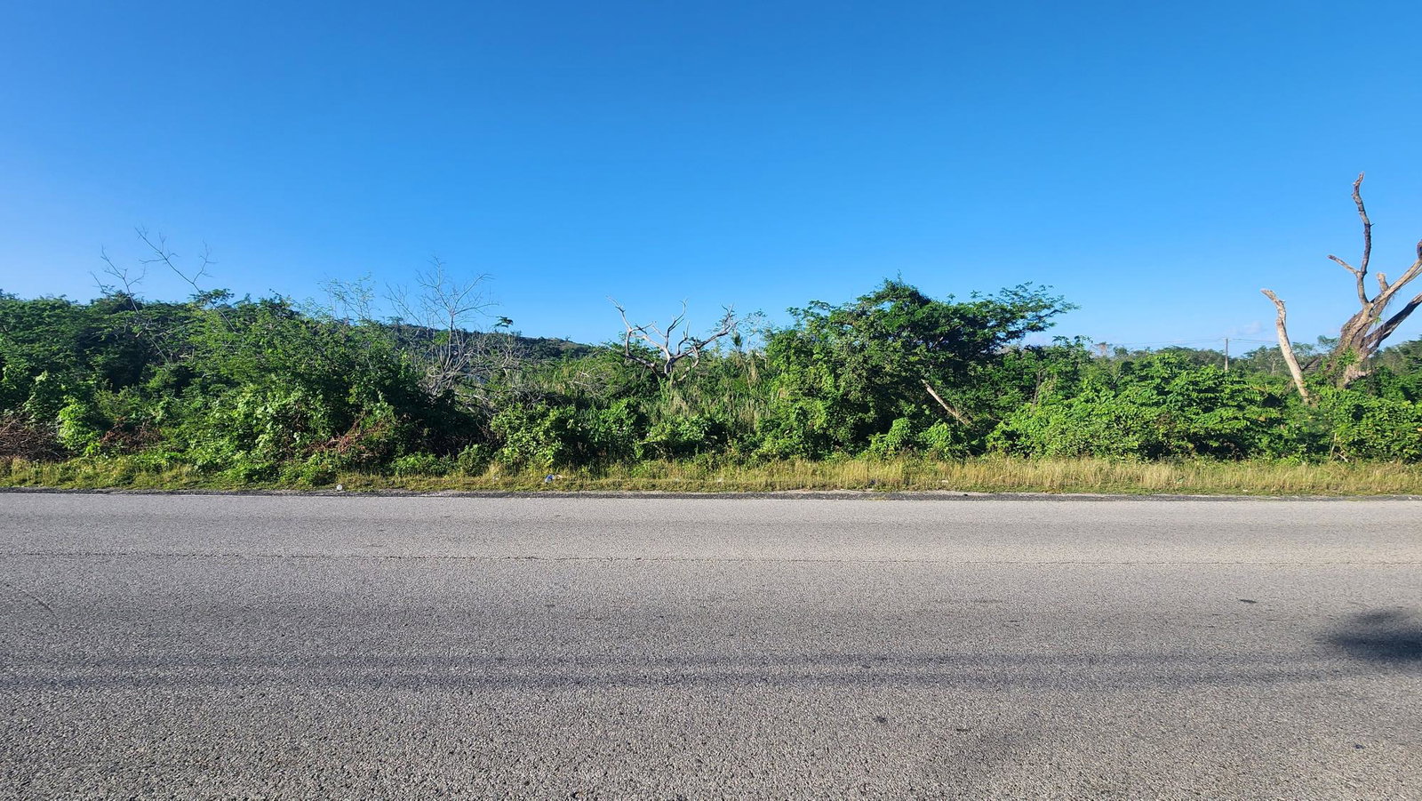 Fifth image of Kenilworth Sandy Bay in Sandy Bay, Hanover, Jamaica - property is For Sale