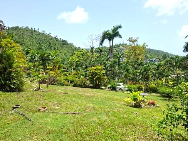 Tenth image of 30 & 31 Welrik Gardens in Anchovy, St. James, Jamaica - property is For Sale