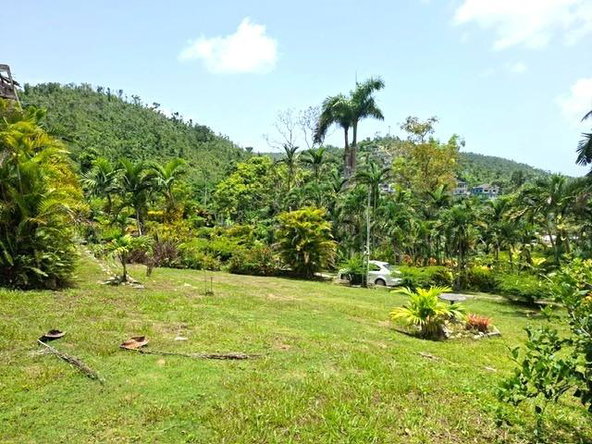 Tenth image of 30 & 31 Welrik Gardens in Anchovy, St. James, Jamaica - property is For Sale