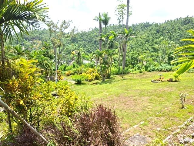 Eleventh image of 30 & 31 Welrik Gardens in Anchovy, St. James, Jamaica - property is For Sale