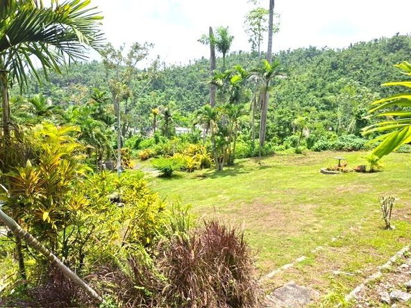 Eleventh image of 30 & 31 Welrik Gardens in Anchovy, St. James, Jamaica - property is For Sale