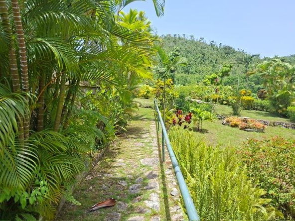 Twelfth image of 30 & 31 Welrik Gardens in Anchovy, St. James, Jamaica - property is For Sale