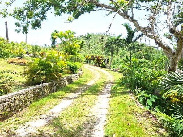Twenty-Third image of 30 & 31 Welrik Gardens in Anchovy, St. James, Jamaica - property is For Sale