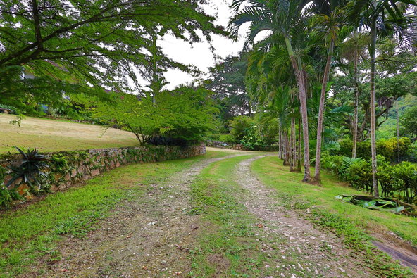Twenty-Fourth image of 30 & 31 Welrik Gardens in Anchovy, St. James, Jamaica - property is For Sale