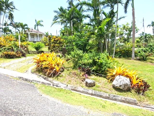 Ninth image of 30 & 31 Welrik Gardens in Anchovy, St. James, Jamaica - property is For Sale