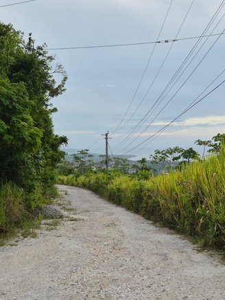 First image of Poinciana Avenue in Runaway Bay, St. Ann, Jamaica - property is For Sale