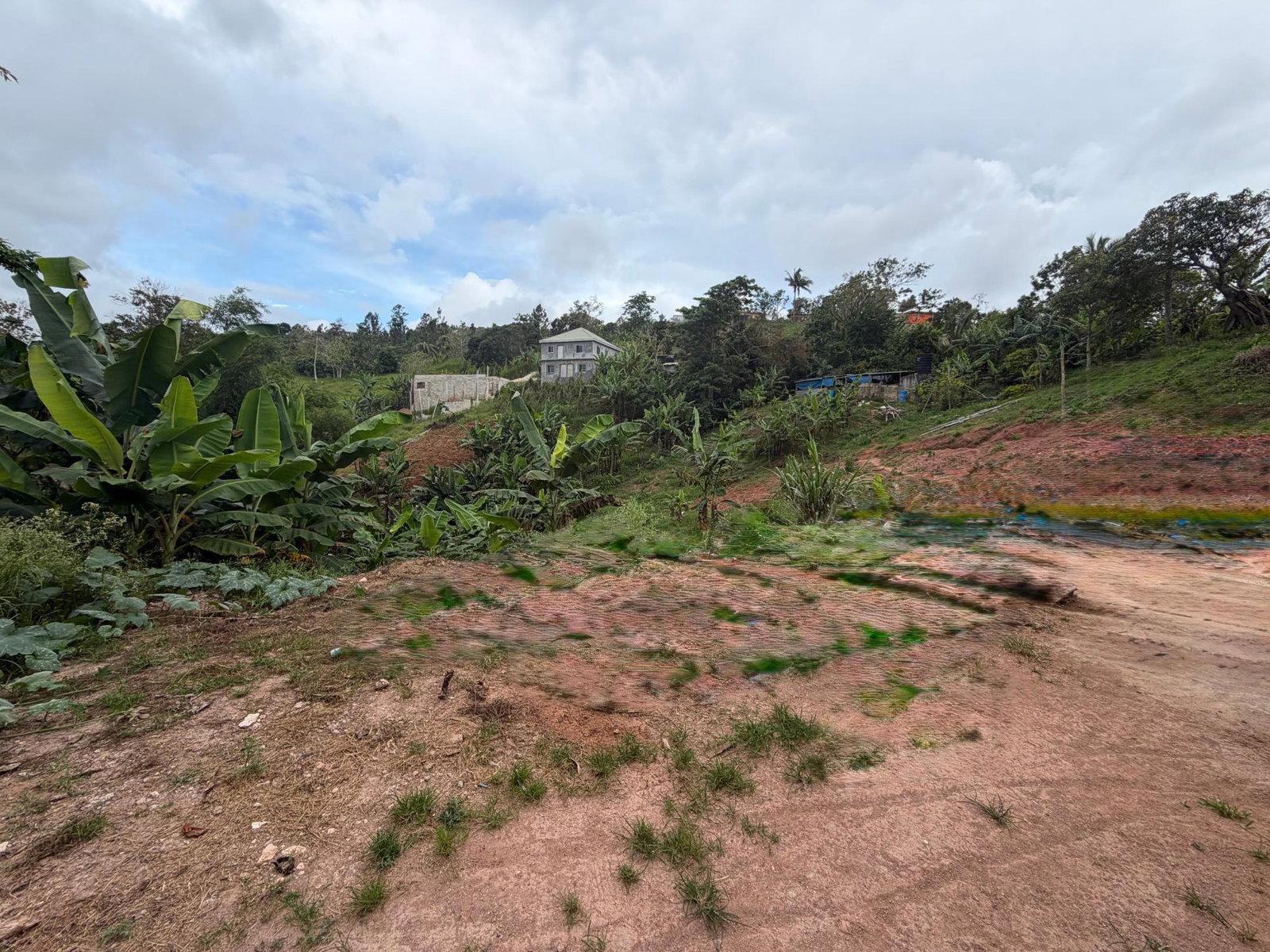 Sixth image of Bullocks in Santa Hill, Clarendon, Jamaica - property is For Sale