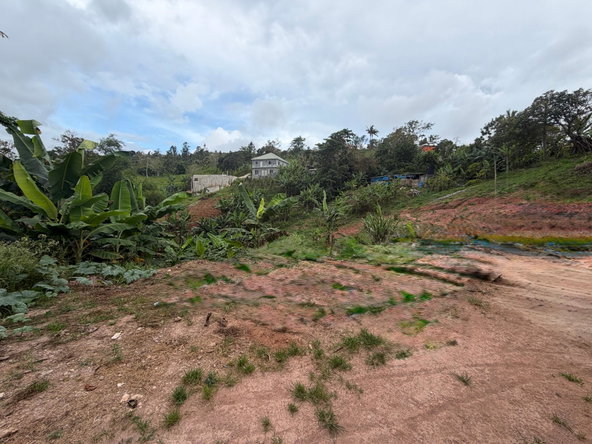 Sixth image of Bullocks in Santa Hill, Clarendon, Jamaica - property is For Sale