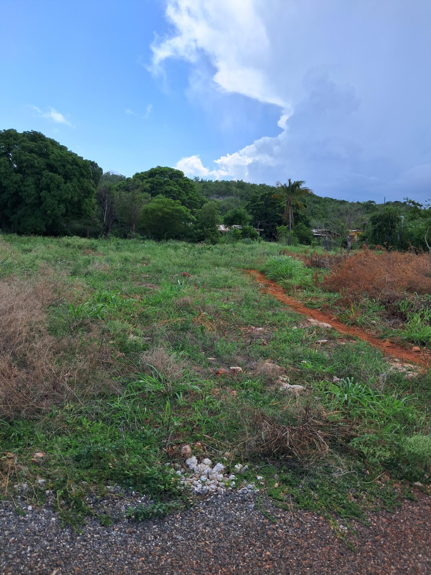 Tenth image of Sea Air, Downs in Mandeville, Manchester, Jamaica - property is For Sale