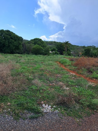 Tenth image of Sea Air, Downs in Mandeville, Manchester, Jamaica - property is For Sale