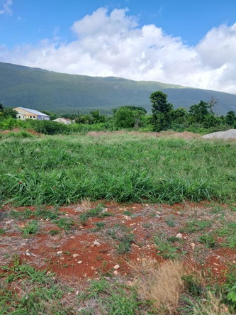 Eleventh image of Sea Air, Downs in Mandeville, Manchester, Jamaica - property is For Sale