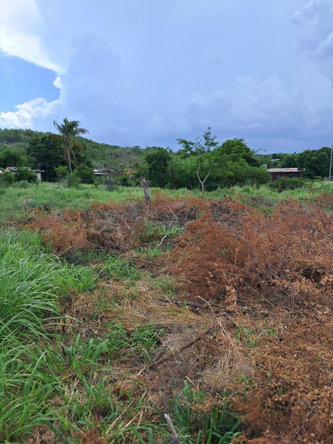 Twelfth image of Sea Air, Downs in Mandeville, Manchester, Jamaica - property is For Sale