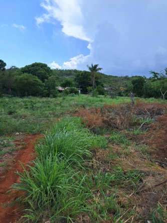 Thirteenth image of Sea Air, Downs in Mandeville, Manchester, Jamaica - property is For Sale