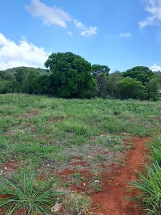 Fourteenth image of Sea Air, Downs in Mandeville, Manchester, Jamaica - property is For Sale