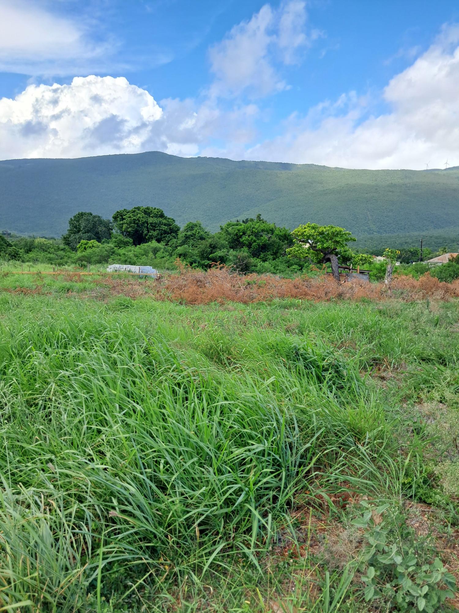 Fifteenth image of Sea Air, Downs in Mandeville, Manchester, Jamaica - property is For Sale