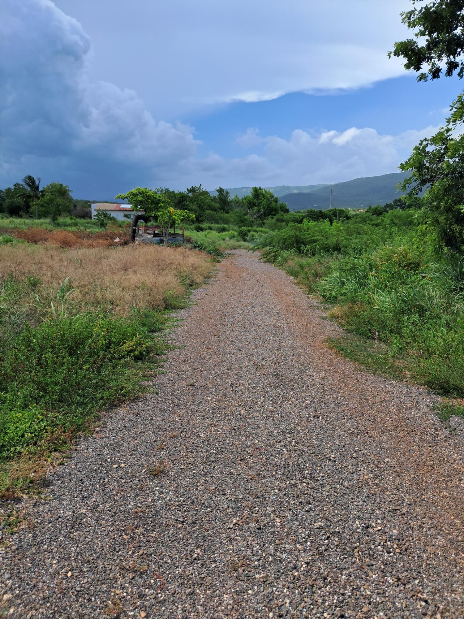 Sixteenth image of Sea Air, Downs in Mandeville, Manchester, Jamaica - property is For Sale