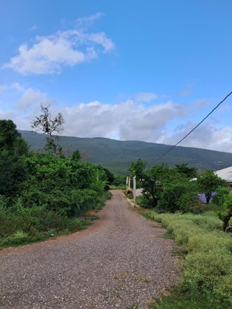 Third image of Sea Air, Downs in Mandeville, Manchester, Jamaica - property is For Sale