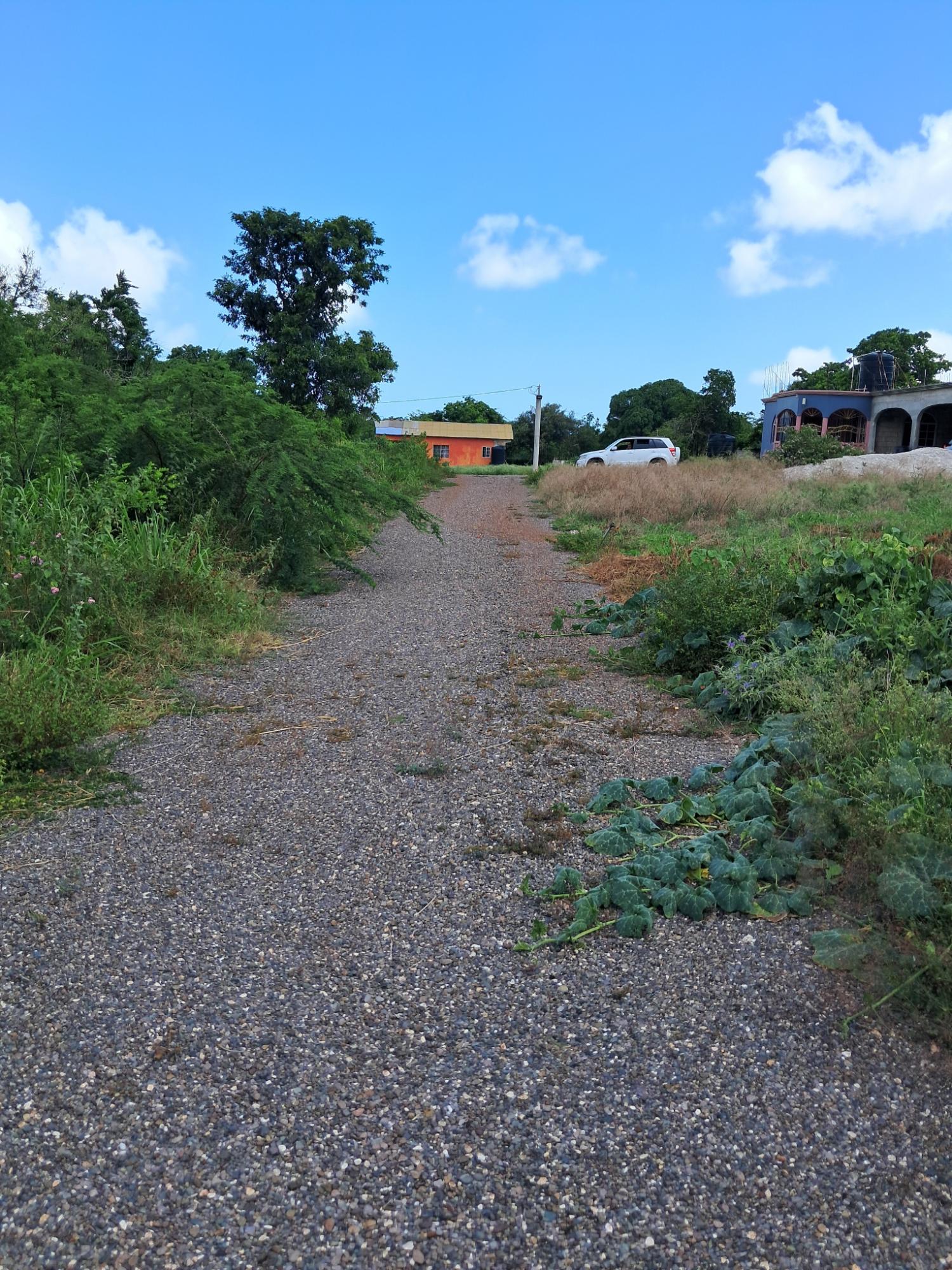 Fourth image of Sea Air, Downs in Mandeville, Manchester, Jamaica - property is For Sale