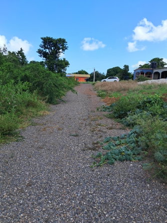 Fourth image of Sea Air, Downs in Mandeville, Manchester, Jamaica - property is For Sale