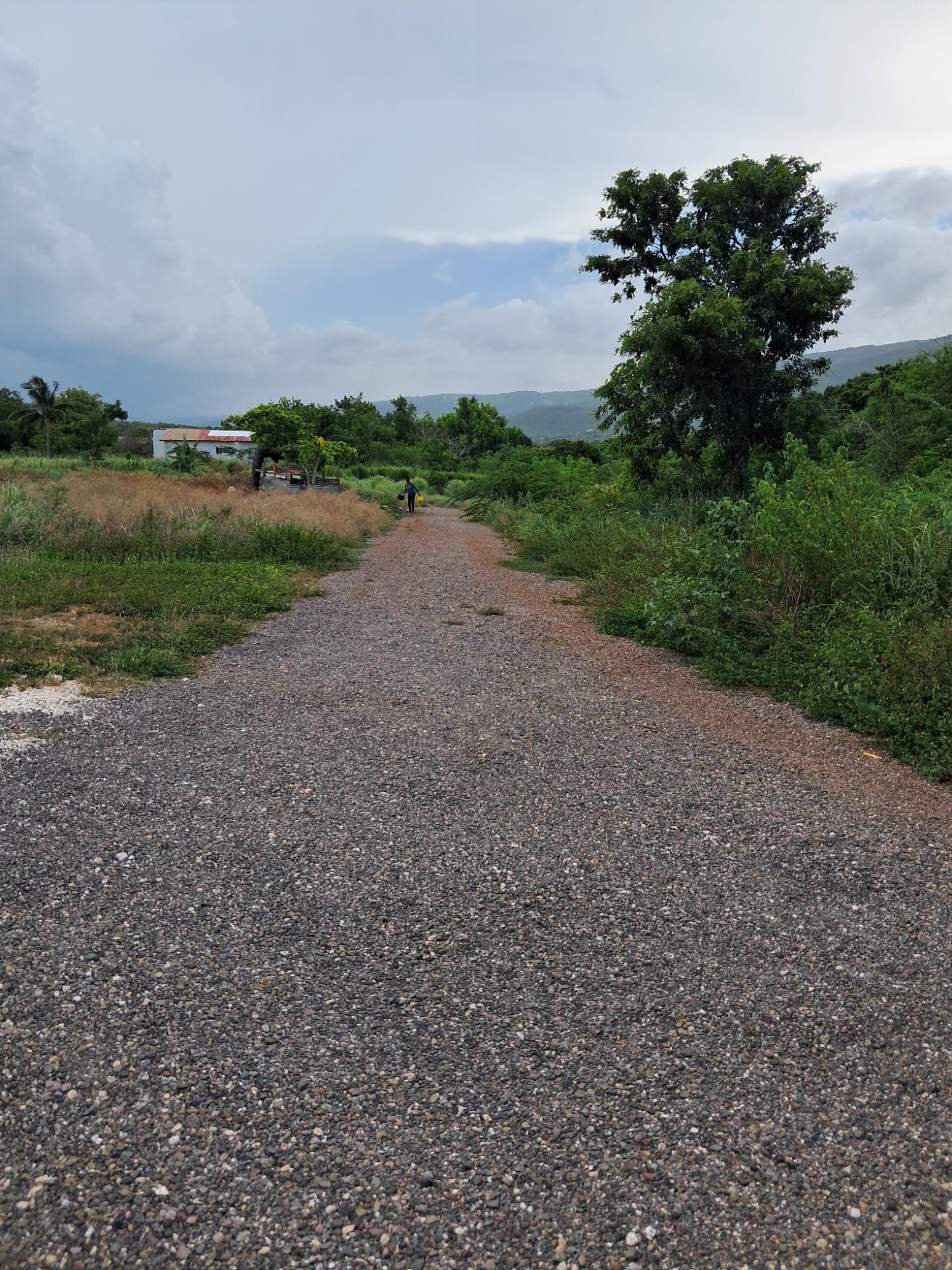 Fifth image of Sea Air, Downs in Mandeville, Manchester, Jamaica - property is For Sale