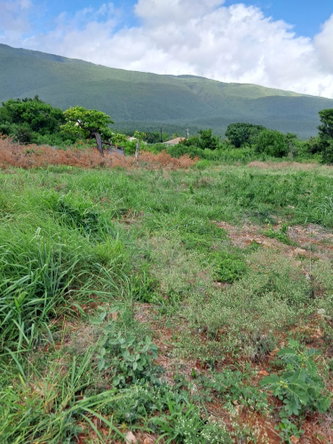Sixth image of Sea Air, Downs in Mandeville, Manchester, Jamaica - property is For Sale