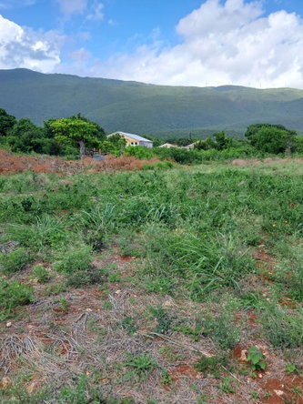 Seventh image of Sea Air, Downs in Mandeville, Manchester, Jamaica - property is For Sale