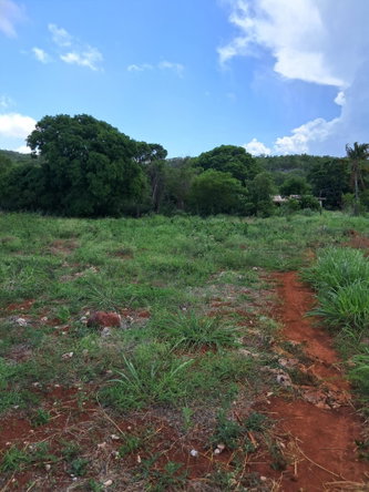 Ninth image of Sea Air, Downs in Mandeville, Manchester, Jamaica - property is For Sale