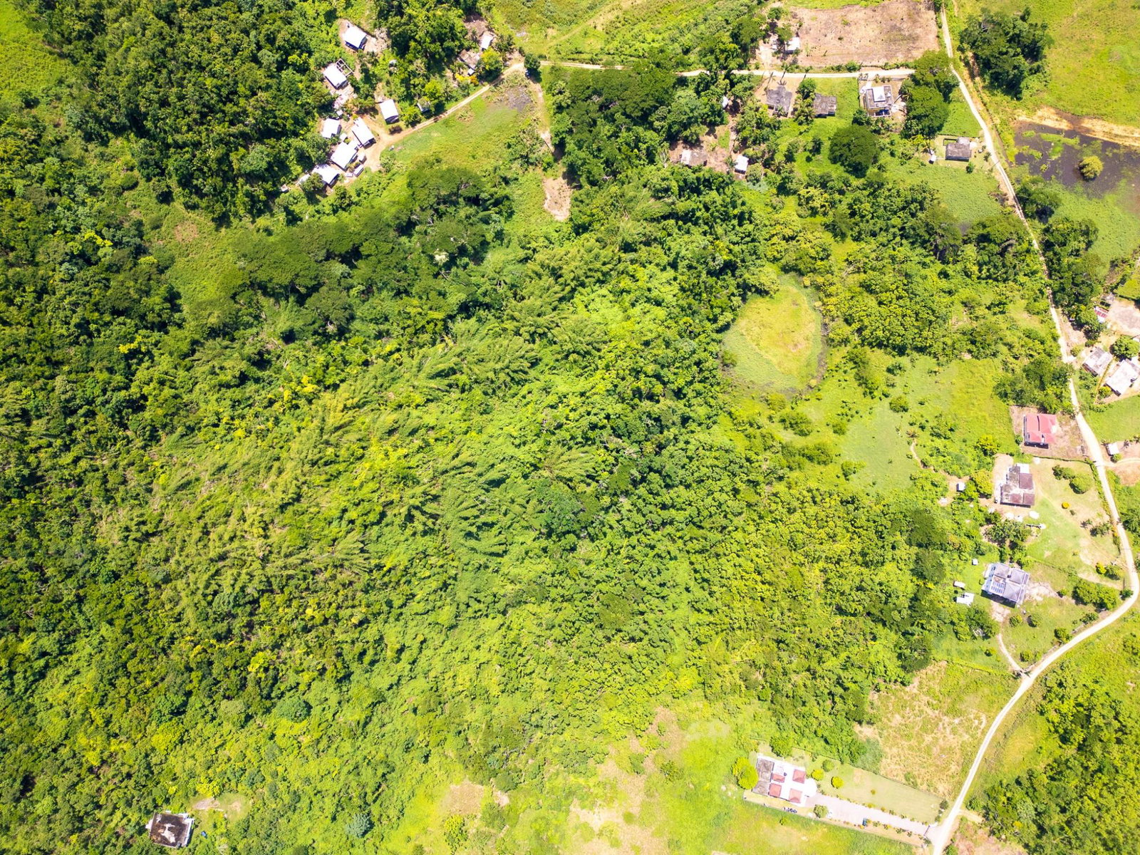 First image of Lot 31 Rothsey Cove in Green Island, Hanover, Jamaica - property is For Sale