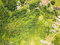 First image of Lot 31 Rothsey Cove in Green Island, Hanover, Jamaica - property is For Sale
