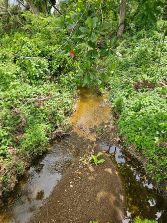 Fourth image of Lot 31 Rothsey Cove in Green Island, Hanover, Jamaica - property is For Sale