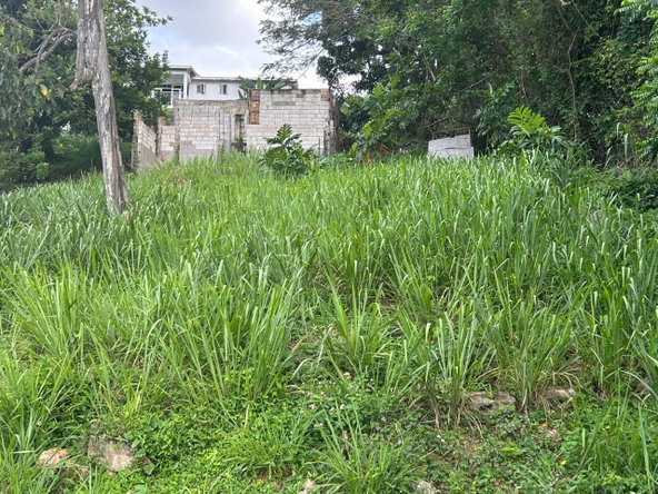 First image of 6 Pimento Circle in Red Hills, St. Andrew, Jamaica - property is For Sale