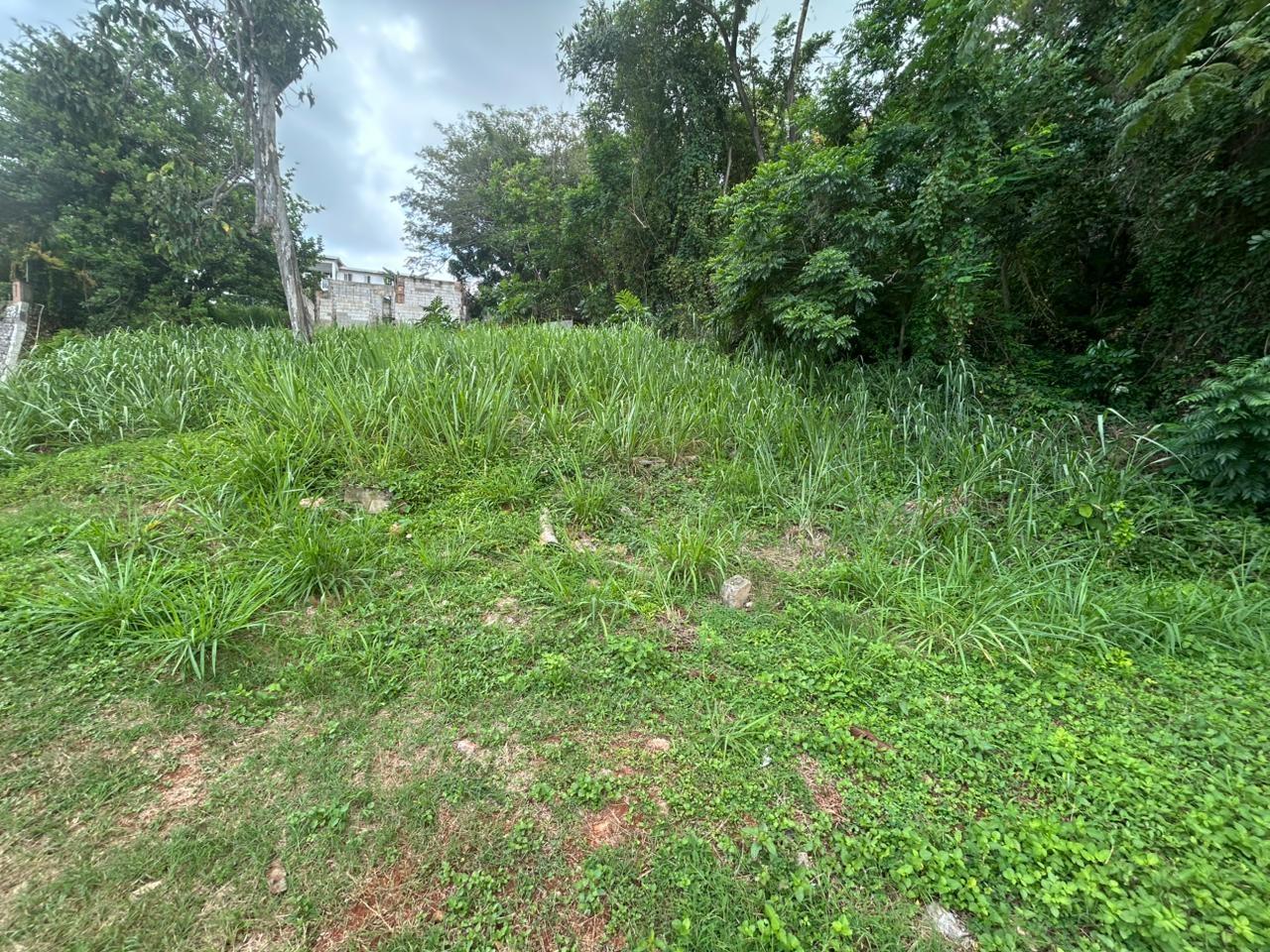 Second image of 6 Pimento Circle in Red Hills, St. Andrew, Jamaica - property is For Sale