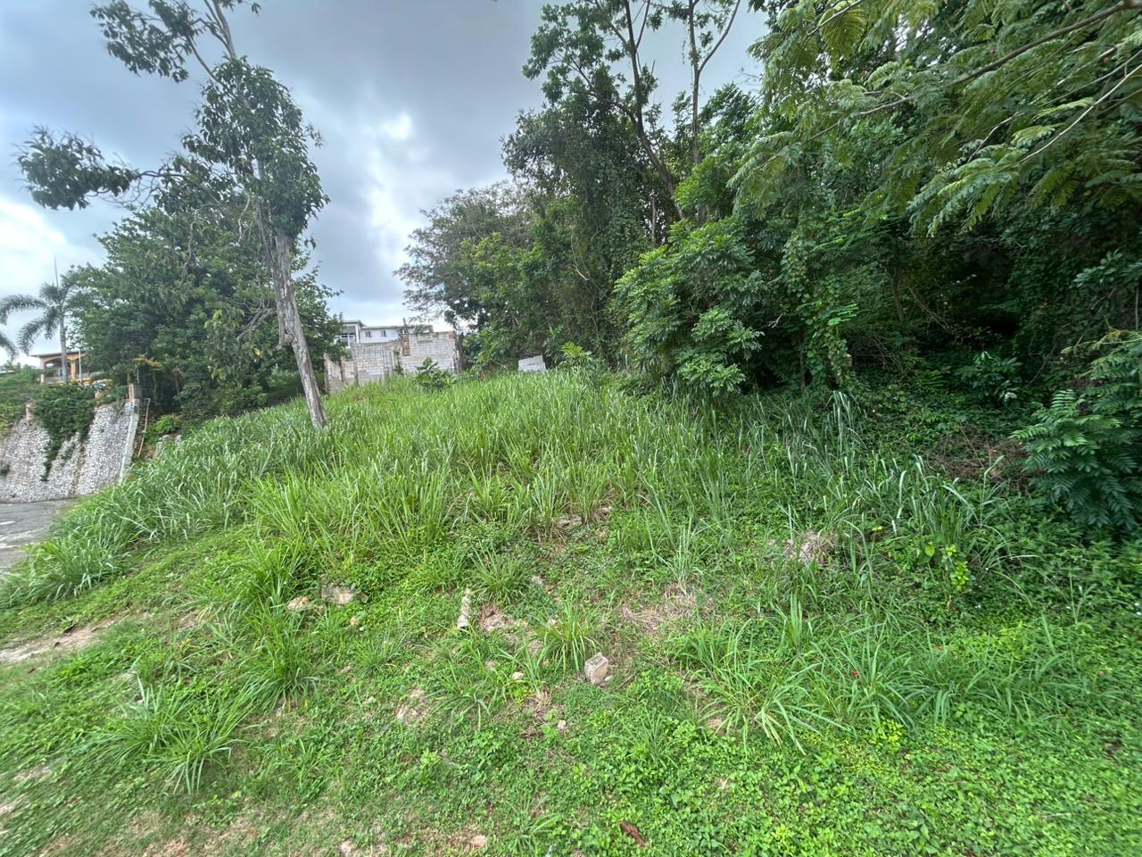 Third image of 6 Pimento Circle in Red Hills, St. Andrew, Jamaica - property is For Sale