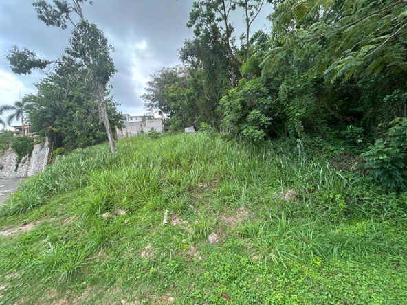 Third image of 6 Pimento Circle in Red Hills, St. Andrew, Jamaica - property is For Sale