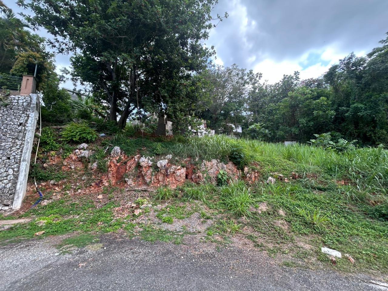 Fourth image of 6 Pimento Circle in Red Hills, St. Andrew, Jamaica - property is For Sale