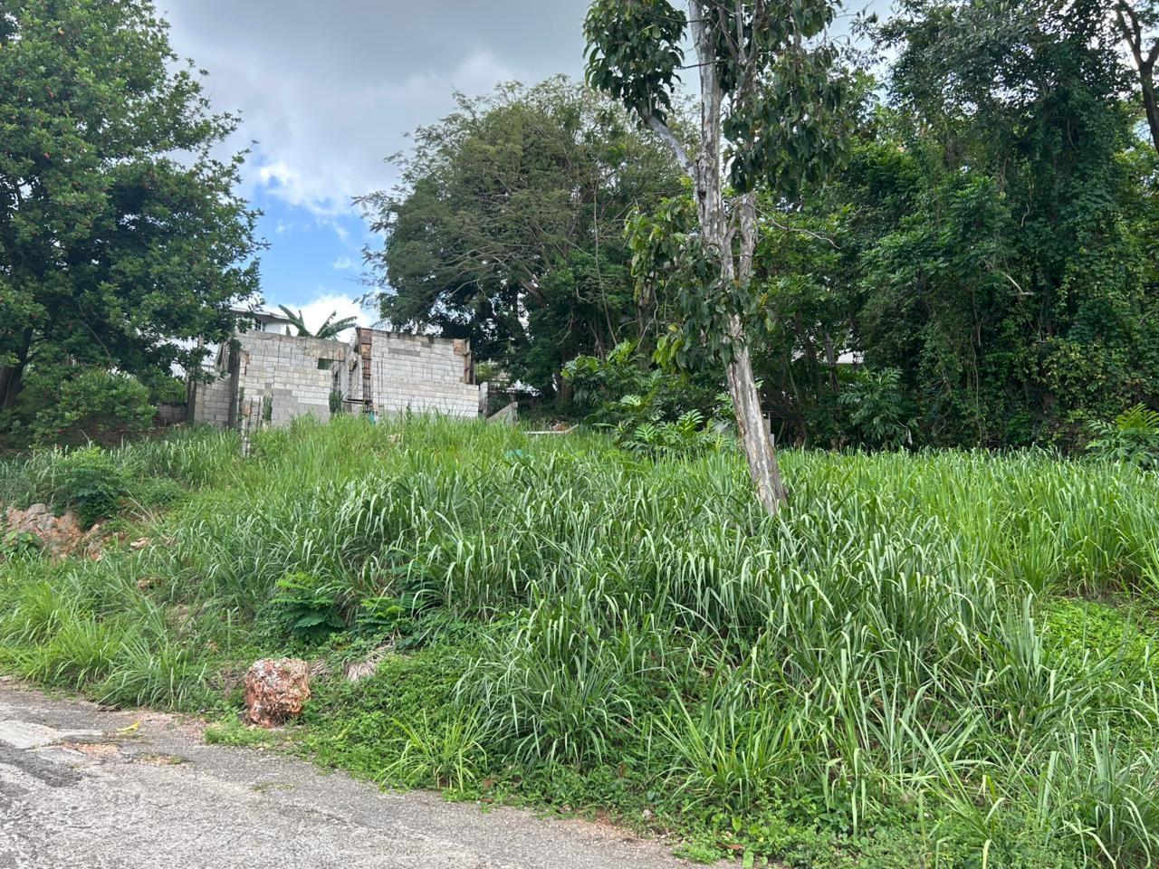 Sixth image of 6 Pimento Circle in Red Hills, St. Andrew, Jamaica - property is For Sale