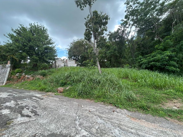 Seventh image of 6 Pimento Circle in Red Hills, St. Andrew, Jamaica - property is For Sale