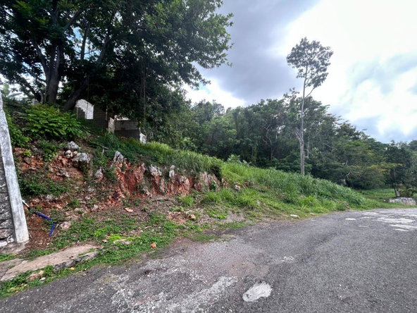 Eighth image of 6 Pimento Circle in Red Hills, St. Andrew, Jamaica - property is For Sale