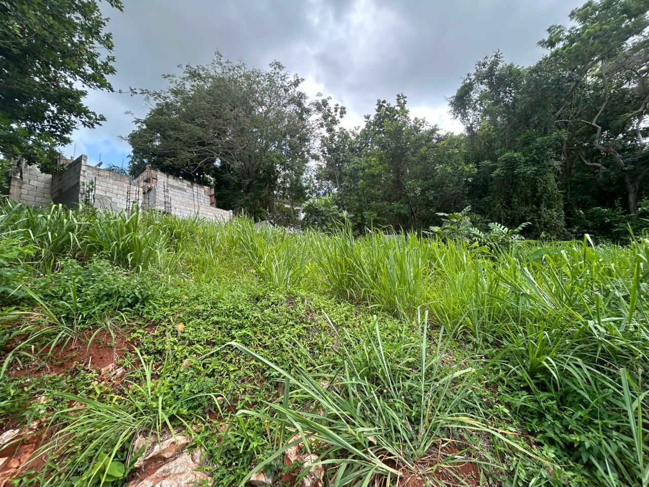 Ninth image of 6 Pimento Circle in Red Hills, St. Andrew, Jamaica - property is For Sale