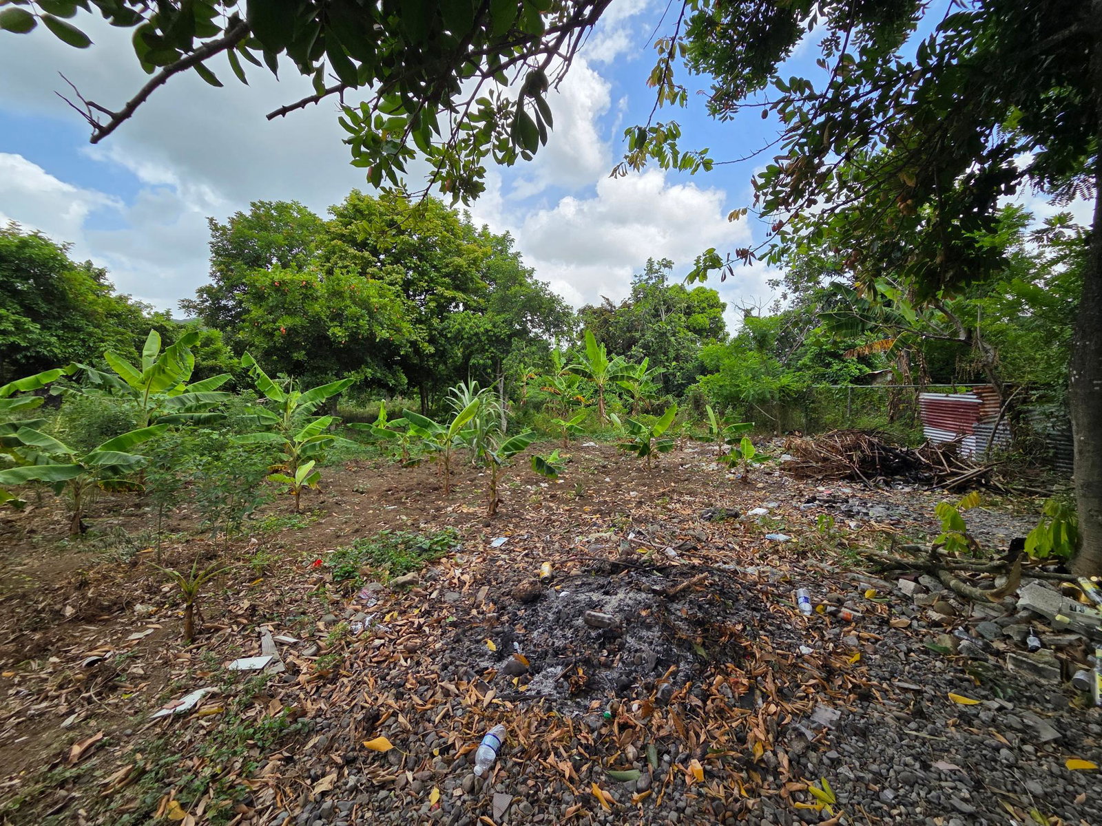 Tenth image of Lower York, Seaforth in York, St. Thomas, Jamaica - property is For Sale
