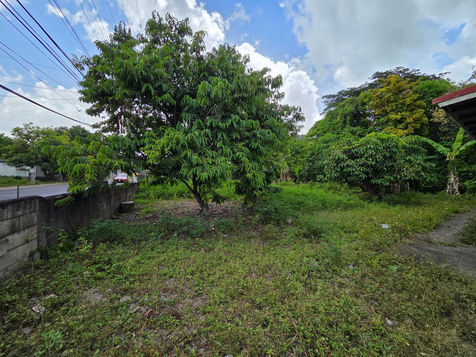 Ninth image of Lower York, Seaforth in York, St. Thomas, Jamaica - property is For Sale