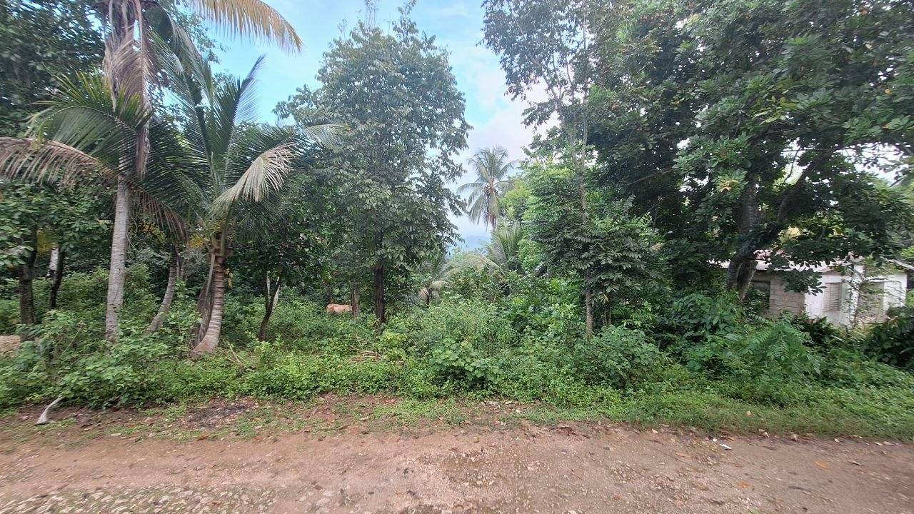 Second image of Wakefield, Buxton Town in Buxton Town, St. Catherine, Jamaica - property is For Sale