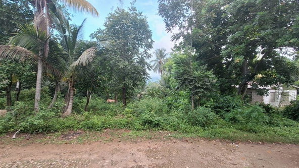 Second image of Wakefield, Buxton Town in Buxton Town, St. Catherine, Jamaica - property is For Sale