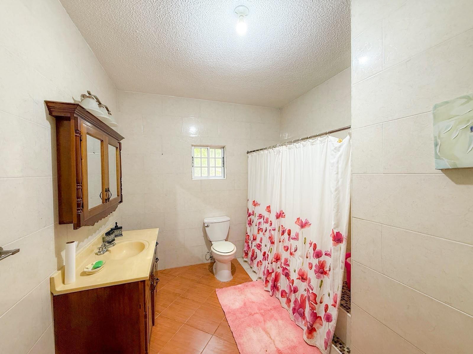 Sixteenth image of White Horse Dist in Morant Bay, St. Thomas, Jamaica - property is For Sale