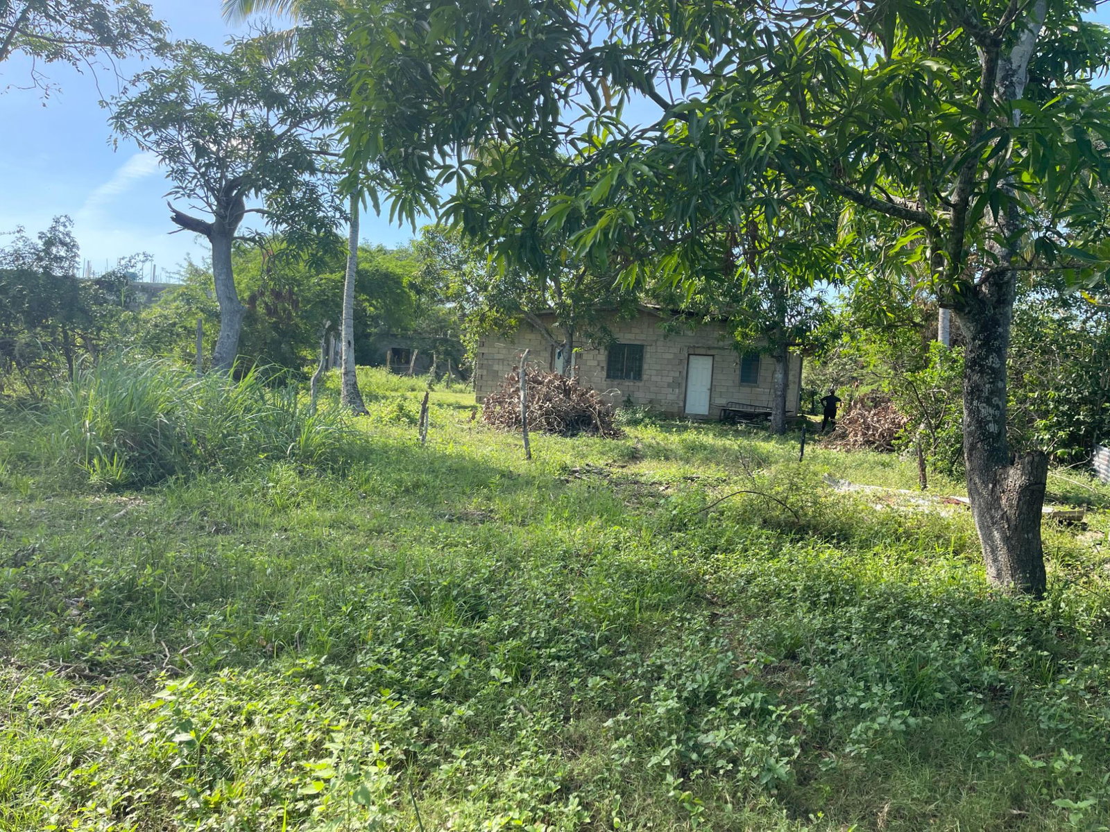 Fifth image of Four Path, Clarendon in Four Paths, Clarendon, Jamaica - property is For Sale