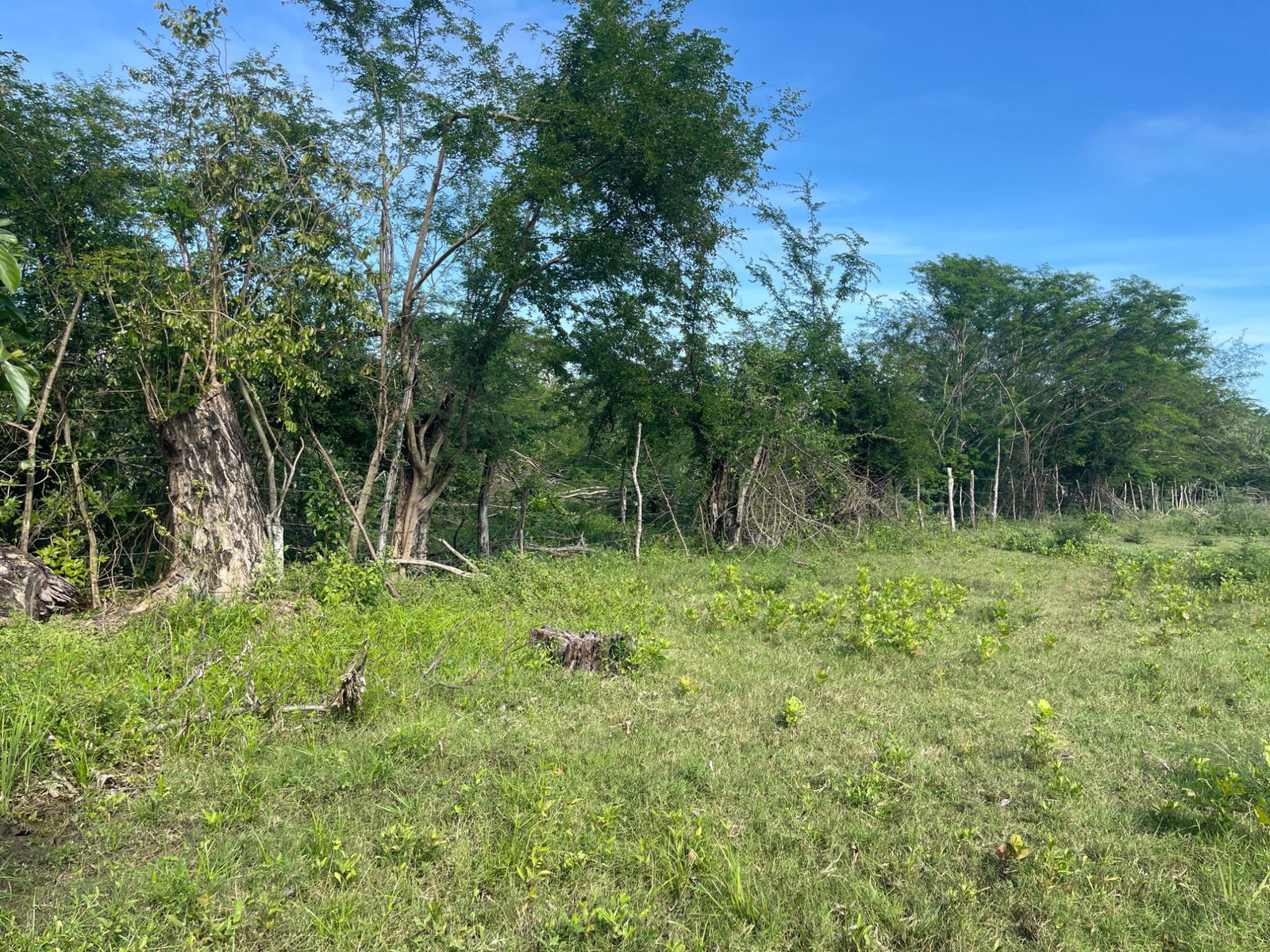 Eighth image of Four Path, Clarendon in Four Paths, Clarendon, Jamaica - property is For Sale
