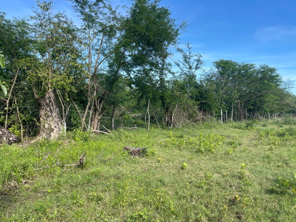 Eighth image of Four Path, Clarendon in Four Paths, Clarendon, Jamaica - property is For Sale